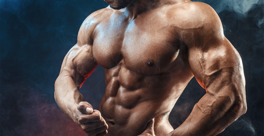 دسته بندی انواع شاخه های رشته های بدنسازی - وبلاگ فروشگاه اینترنتی پویان  اسپرت
