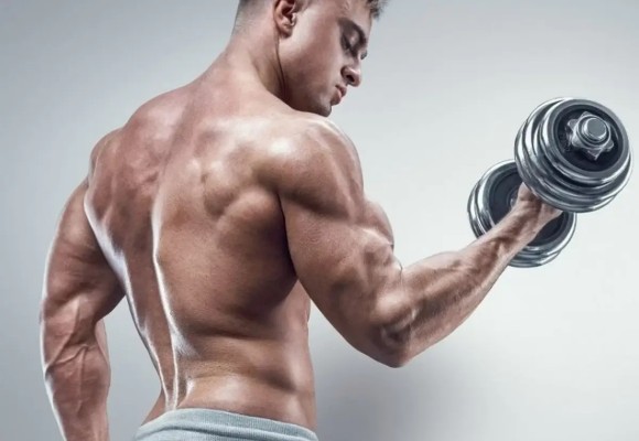 چرا هر چقد وزنه میزنم عضله نمیسازم؟